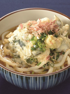 ぶっかけわかめかき揚げうどん-レシピのメイン写真