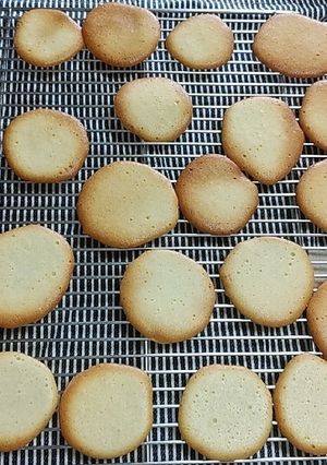 卵白１個でラングドシャ-レシピのメイン写真