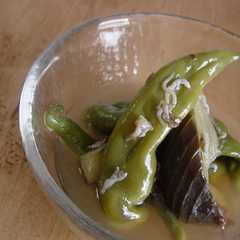 A picture of 万願寺唐辛子と茄子の冷たい煮物.