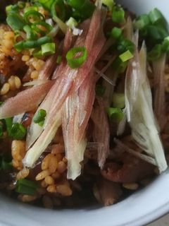 もつにネギ もつにネギ モツ煮ねぎたっぷり レシピ・作り方 by madone6