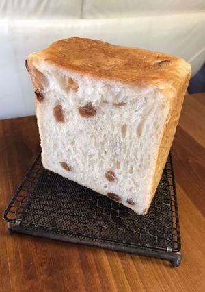 自家製酵母でレーズン食パン-レシピのメイン写真