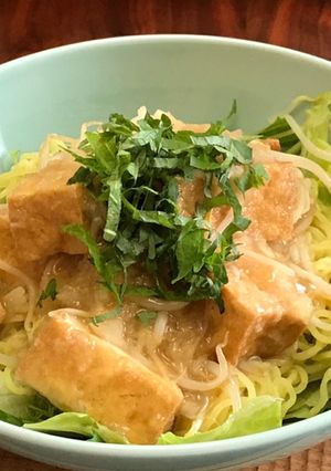 厚揚げともやしのおろし煮のぶっかけ麺-レシピのメイン写真