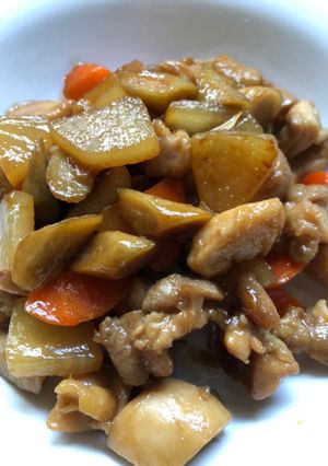 鶏ゴボウ大根炒め煮-レシピのメイン写真