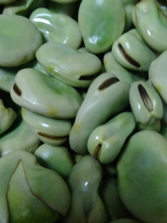 レンジでゆでそら豆-レシピのメイン写真