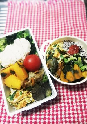 パパ&ママ弁当♡ダイエット弁当5/28-レシピのメイン写真