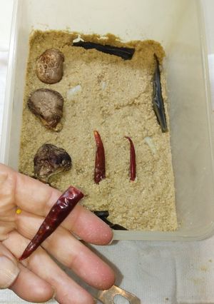 　「煎り糠」で糠床つくり(◍•ᴗ•◍)❤-レシピのメイン写真