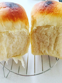 手ごねでもっちりふわふわ食パン-レシピのメイン写真