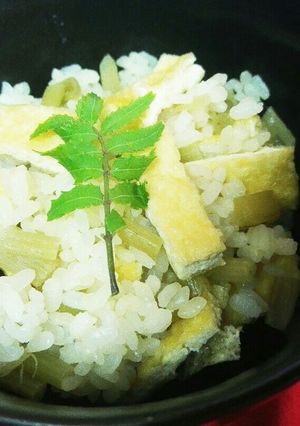 春ご飯♪ふきと油揚げの炊き込みご飯♪-レシピのメイン写真