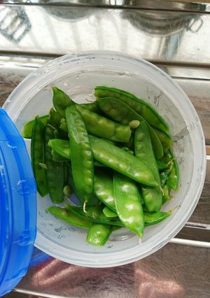 スナップえんどうは茹でて保存します。-レシピのメイン写真