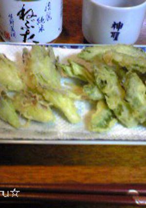 みょうがとにがうりの天ぷら-レシピのメイン写真