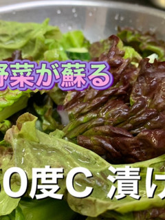 レタスの鮮度が蘇る方法-レシピのメイン写真
