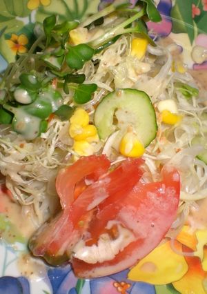 食欲増進☆ソーメンサラダ☆-レシピのメイン写真