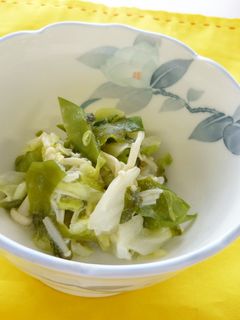 キャベツときぬさやの和え物-レシピのメイン写真
