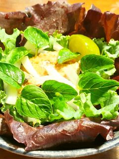 鯖水煮缶、新玉葱、オレガノの葉のサラダ-レシピのメイン写真