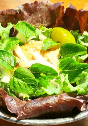 鯖水煮缶、新玉葱、オレガノの葉のサラダ-レシピのメイン写真