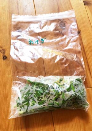 わけぎ1-レシピのメイン写真