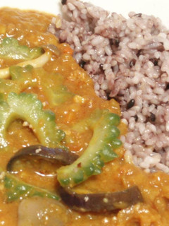 ☆ゴーヤ&茄子の夏野菜キーマカレー☆-レシピのメイン写真