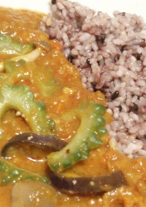 ☆ゴーヤ＆茄子の夏野菜キーマカレー☆-レシピのメイン写真