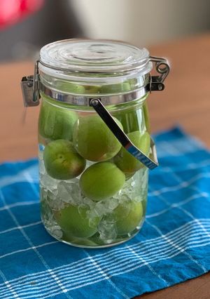 甘すぎない梅酒-レシピのメイン写真