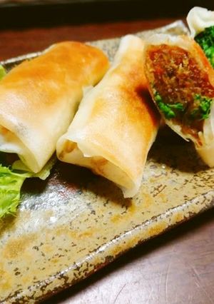 カレーパルミジャーノ春巻き-レシピのメイン写真
