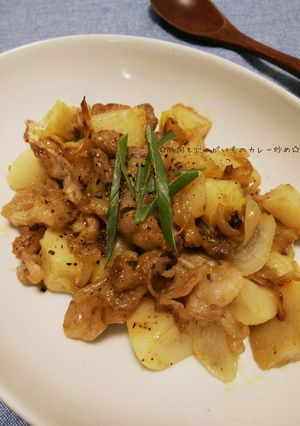 豚肉とじゃが芋のカレー炒め-レシピのメイン写真