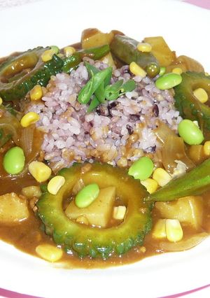 ごろごろ夏野菜のヘルシーカレー-レシピのメイン写真