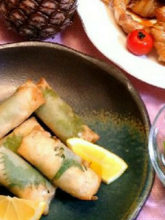 鶏挽き肉の春巻-レシピのメイン写真
