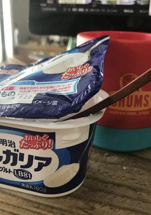 簡単すぎるレアチーズケーキなし-レシピのメイン写真
