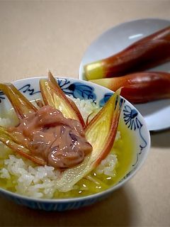 茗荷(みょうが)とイカの塩辛のお茶漬け-レシピのメイン写真