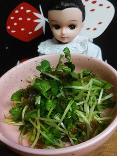 リカちゃん♡かいわれととろ昆布和え-レシピのメイン写真