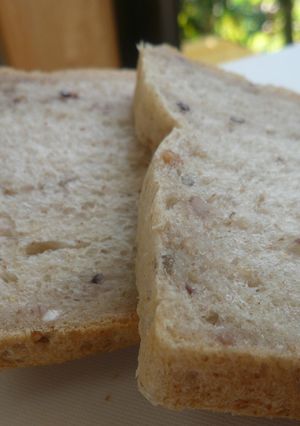 発芽十六雑穀を使った食パン-レシピのメイン写真