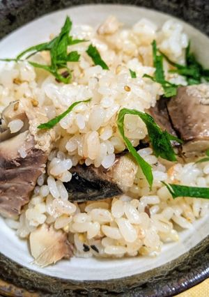 簡単 トマトとサバ缶の血液サラサラご飯-レシピのメイン写真