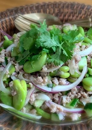 そら豆と豚ひき肉のアジアンマリネ-レシピのメイン写真