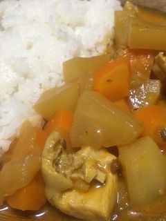 簡単ココナツヨーグルト本格スパイスカレー-レシピのメイン写真