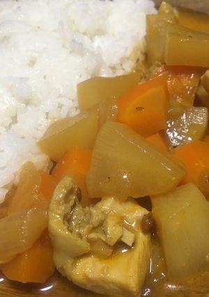 簡単ココナツヨーグルト本格スパイスカレー-レシピのメイン写真