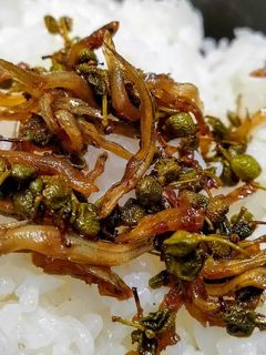 痺れる旨さ 悪魔の佃煮 ちりめん山椒-レシピのメイン写真