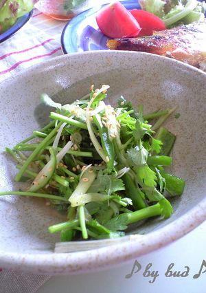 【珍しい】牙の折れた虎♪老虎菜もどき-レシピのメイン写真