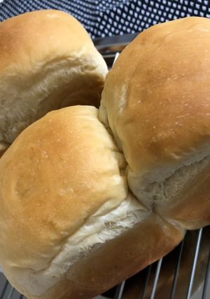 ふわふわミルクパン〜ミニ食パン【覚書】-レシピのメイン写真