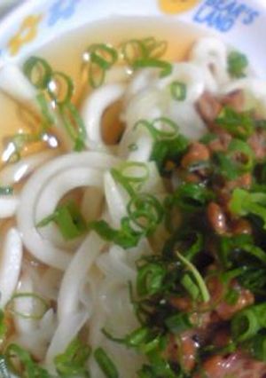 ネギたっぷり！ネバネバさっぱﾘうどん-レシピのメイン写真