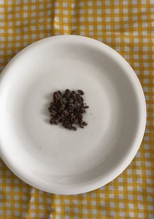 カカオニブ チョコまぶし-レシピのメイン写真