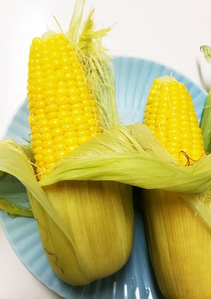 とうもろこし おいしい 簡単 茹で方-レシピのメイン写真