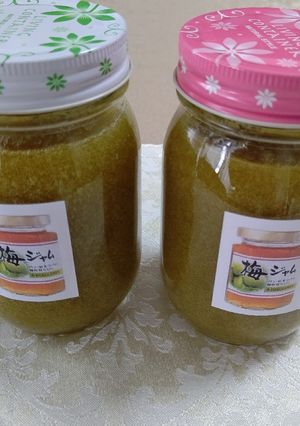 酸味がたまらない青梅ジャム-レシピのメイン写真