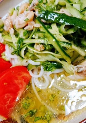 パクチーサラダ素麺-レシピのメイン写真