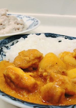 マレーシアカレー　カリアヤム-レシピのメイン写真