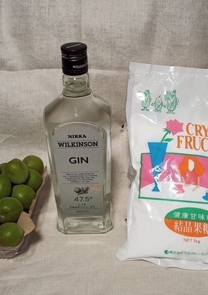超辛口・ジン梅酒-レシピのメイン写真