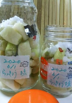 10％のあら塩で簡単らっきょうの塩漬け-レシピのメイン写真