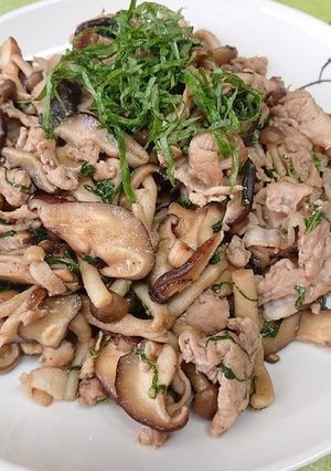 豚肉ときのこのさっぱり大葉炒め-レシピのメイン写真