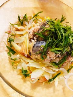 サバサラダ サバ缶 新玉ねぎ ミョウガ-レシピのメイン写真