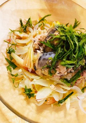サバサラダ サバ缶 新玉ねぎ ミョウガ-レシピのメイン写真