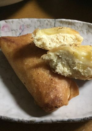 おからで簡単春巻-レシピのメイン写真